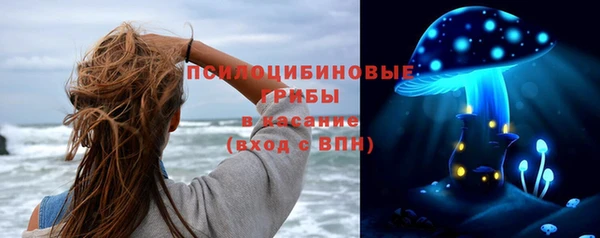 круглые Алексеевка