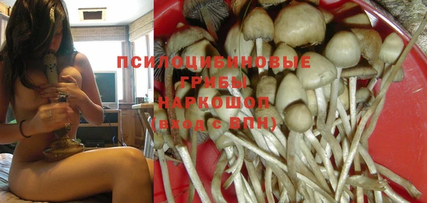 Альфа ПВП Алзамай