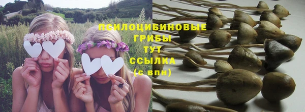 Альфа ПВП Алзамай
